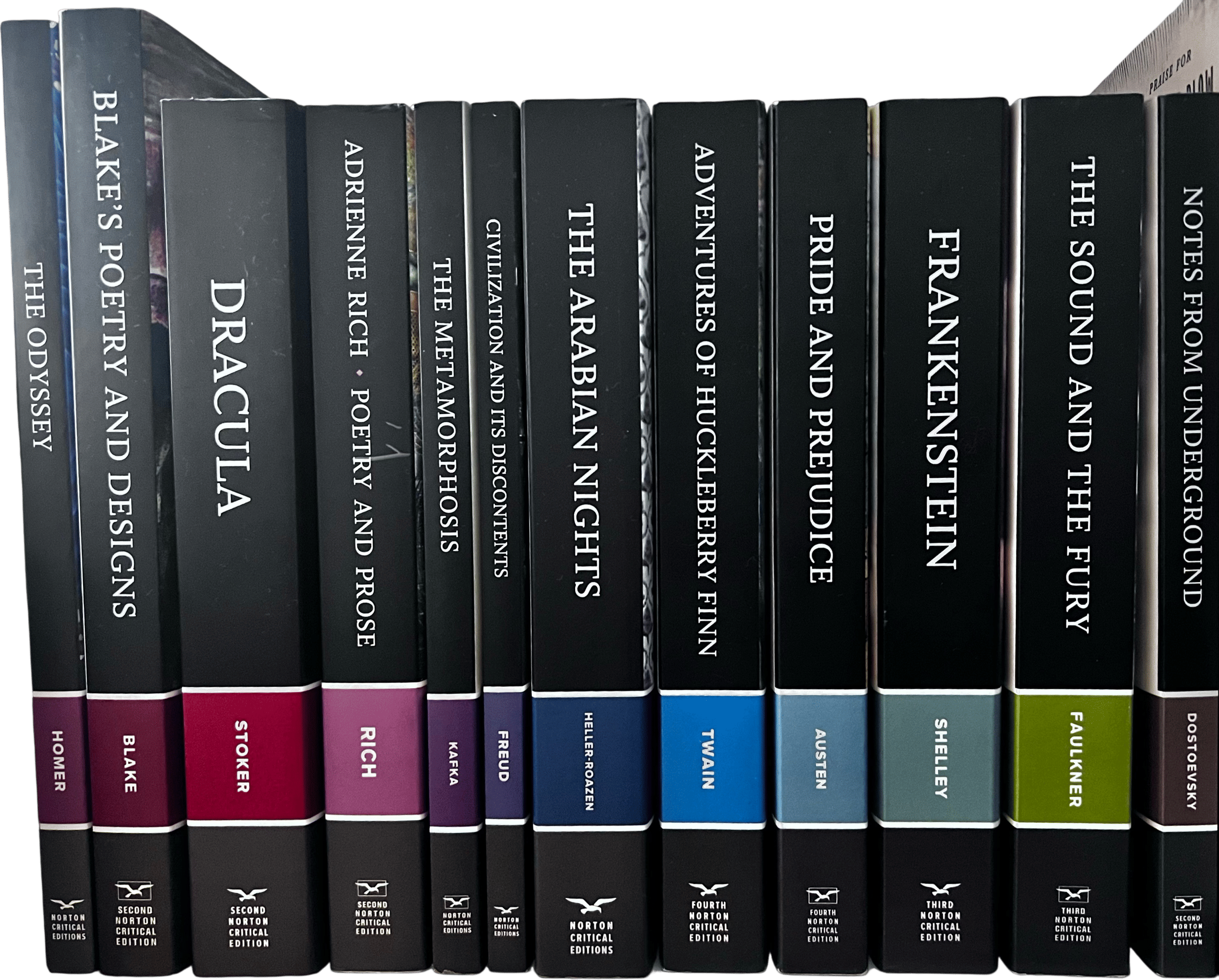Norton Critical Edition Section