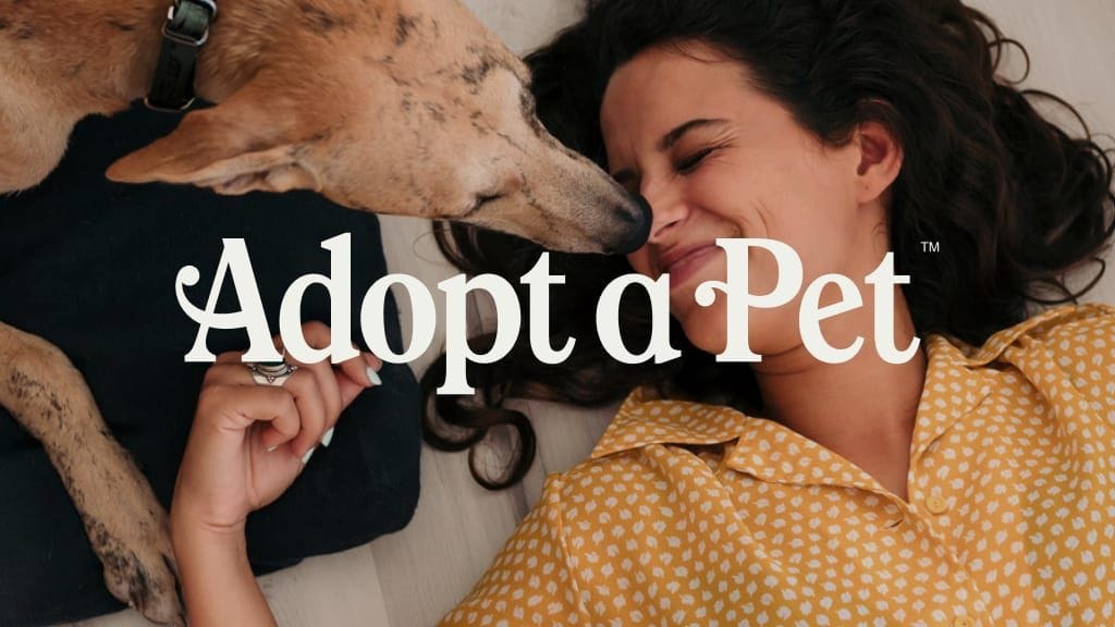 adopting a cat