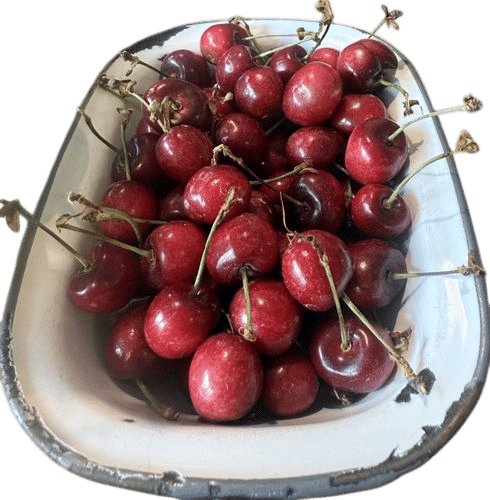 sweetheart cherries