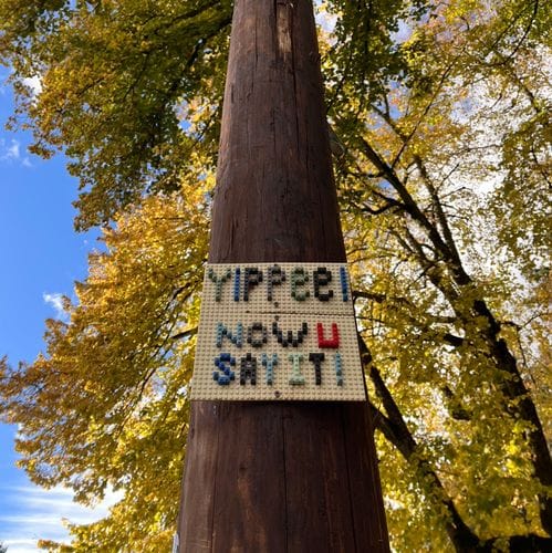 shop & bop locally!