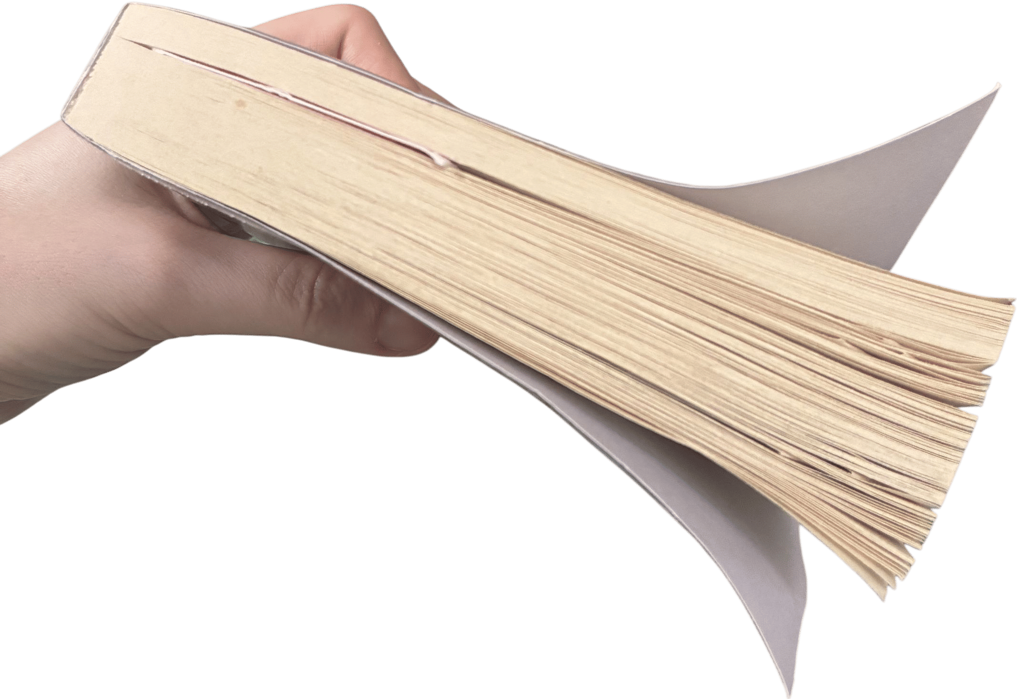 Reading like 10-30 pages a day
