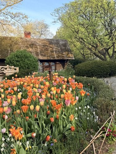 Shakespeare Garden