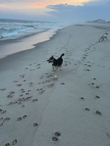 Town Line Beach