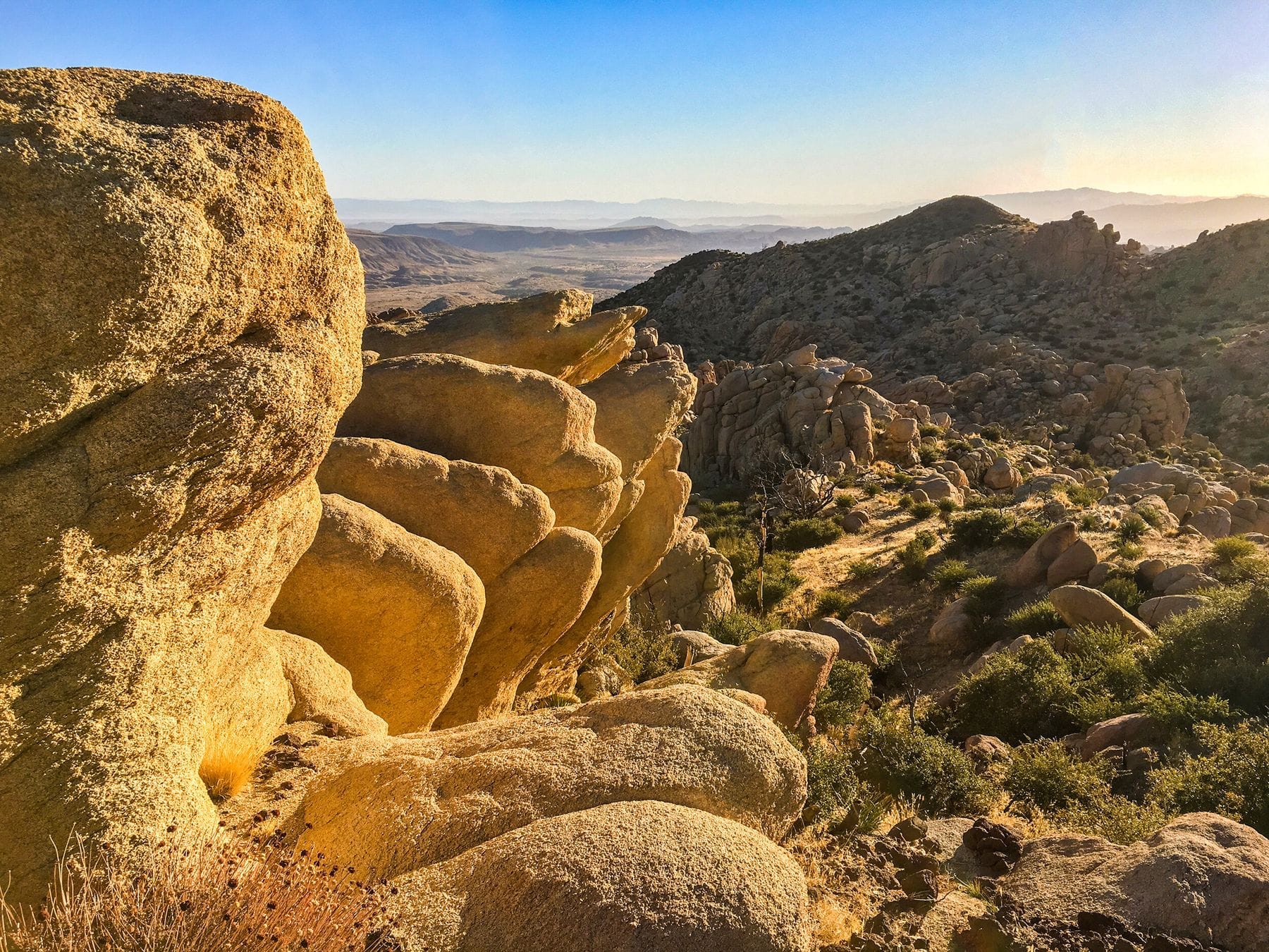 Pioneertown Mountains Preserve