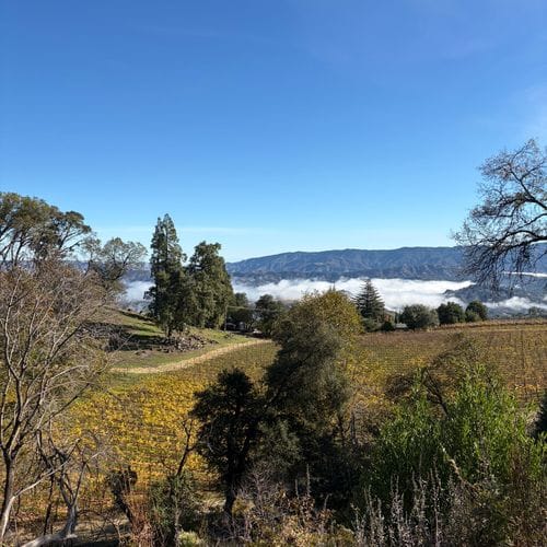 Napa