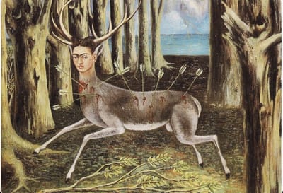 The Wounded Deer