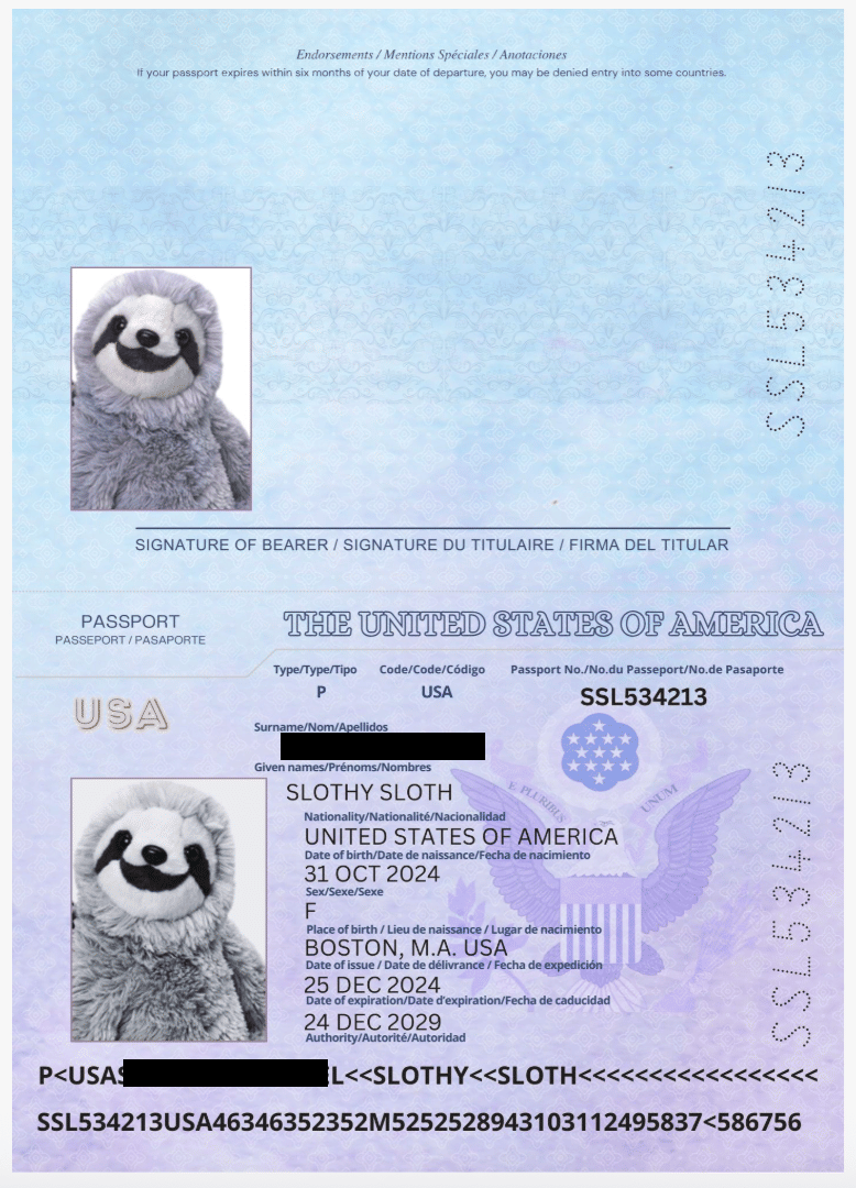 Passport for a kid's stuffed animal/lovey