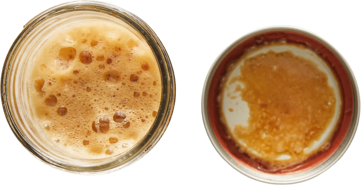 Iced Coffee Recipe