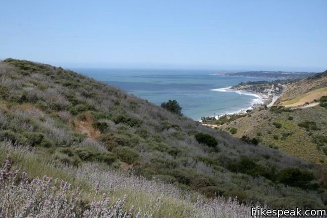 Corral Canyon Trail