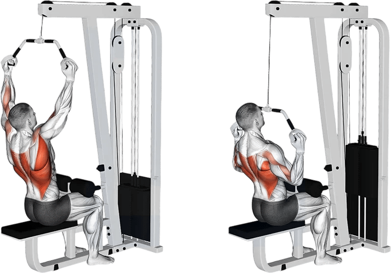 Neutral grip lat pulldown