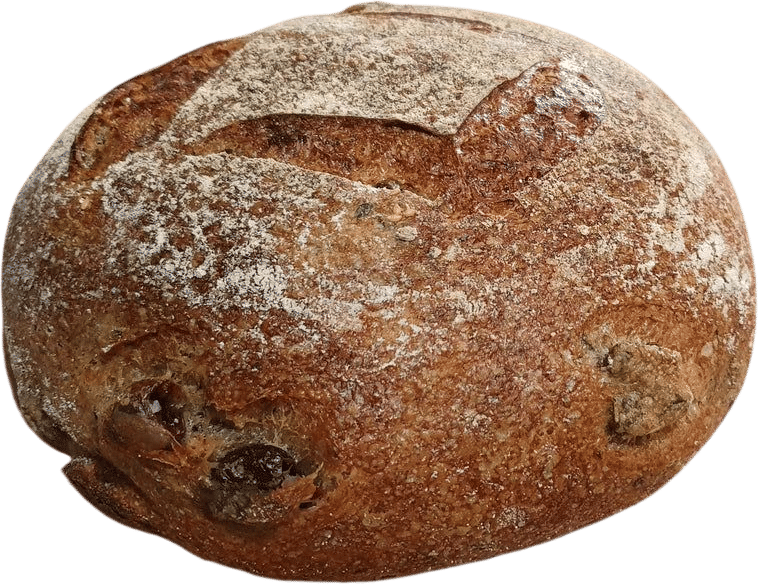 Ovens Street Bakery Olive Sourdough