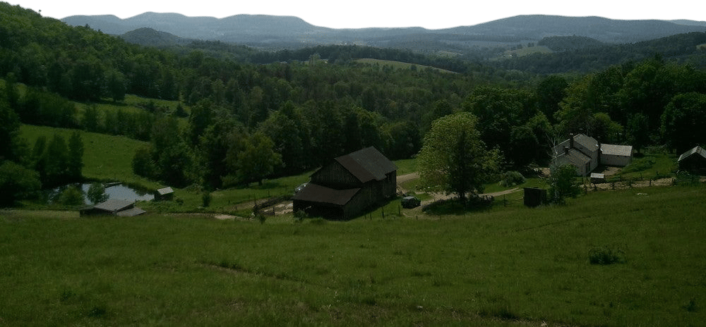 lewis waite farm