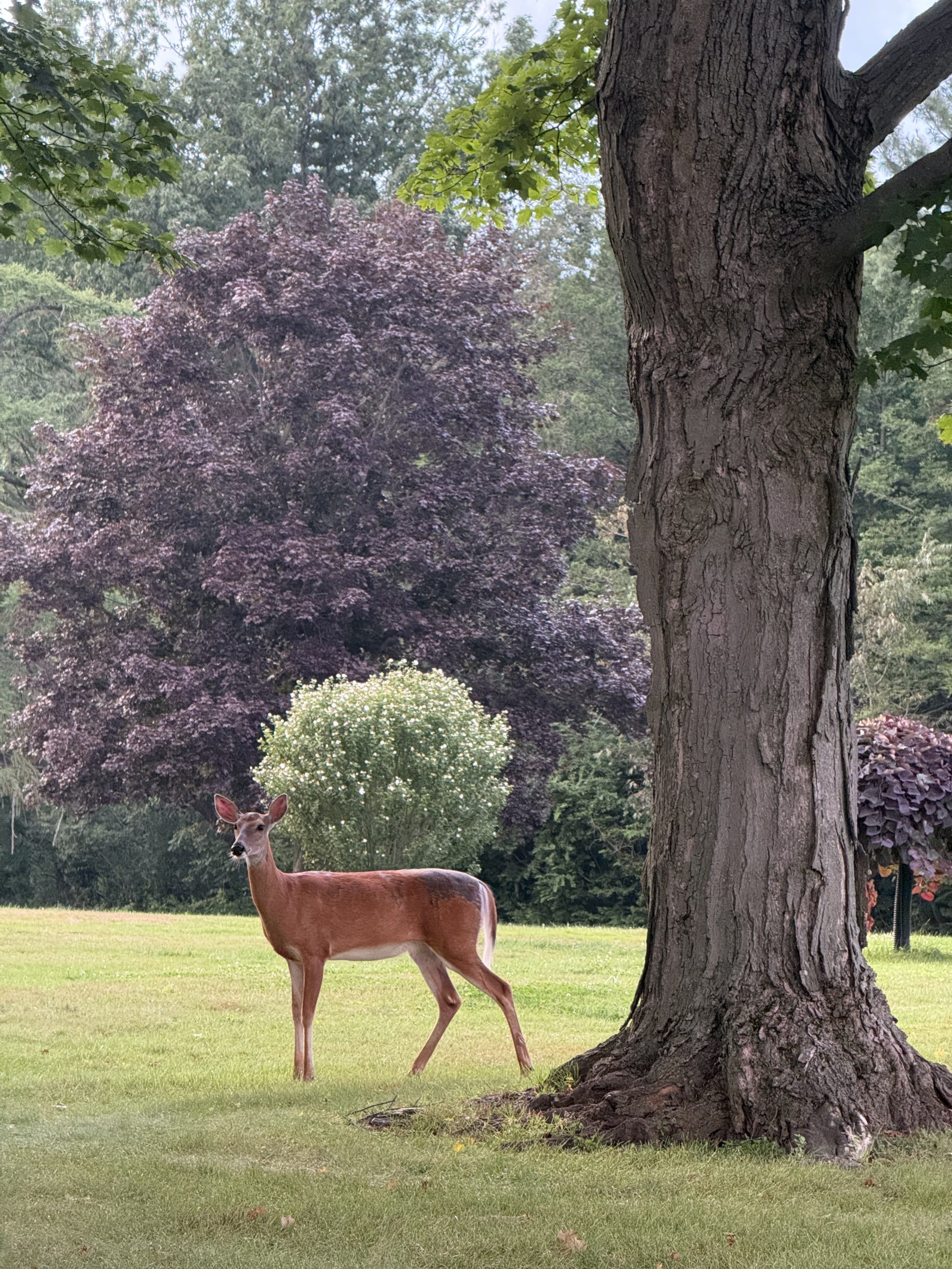 Take A Neighborhood Walk