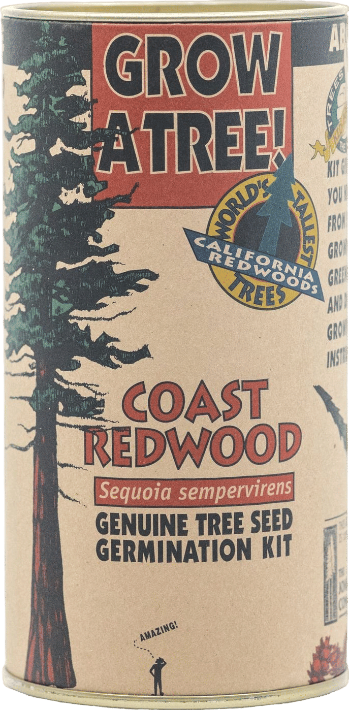 Coast Redwood Seed Grow Kit