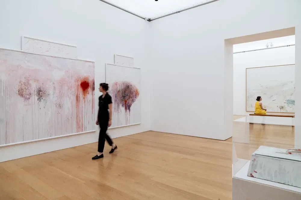 Cy Twombly Gallery (Houston, TX)