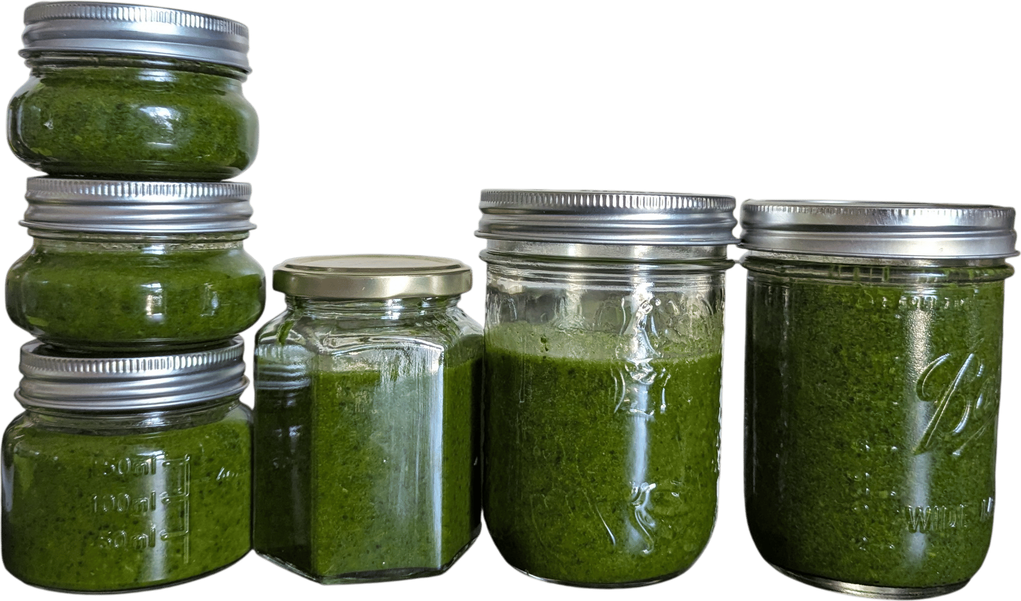 Sqirl Sorrel Pesto