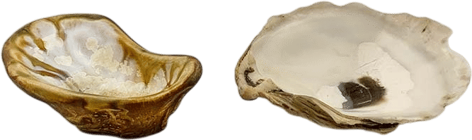 Oyster Cup — Ae Ceramics