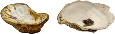 Oyster Cup