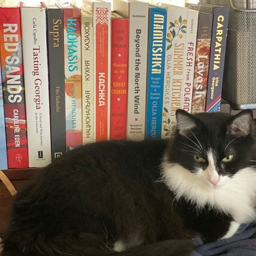 Eastern European, Balkan, and Central Asian Cookbooks