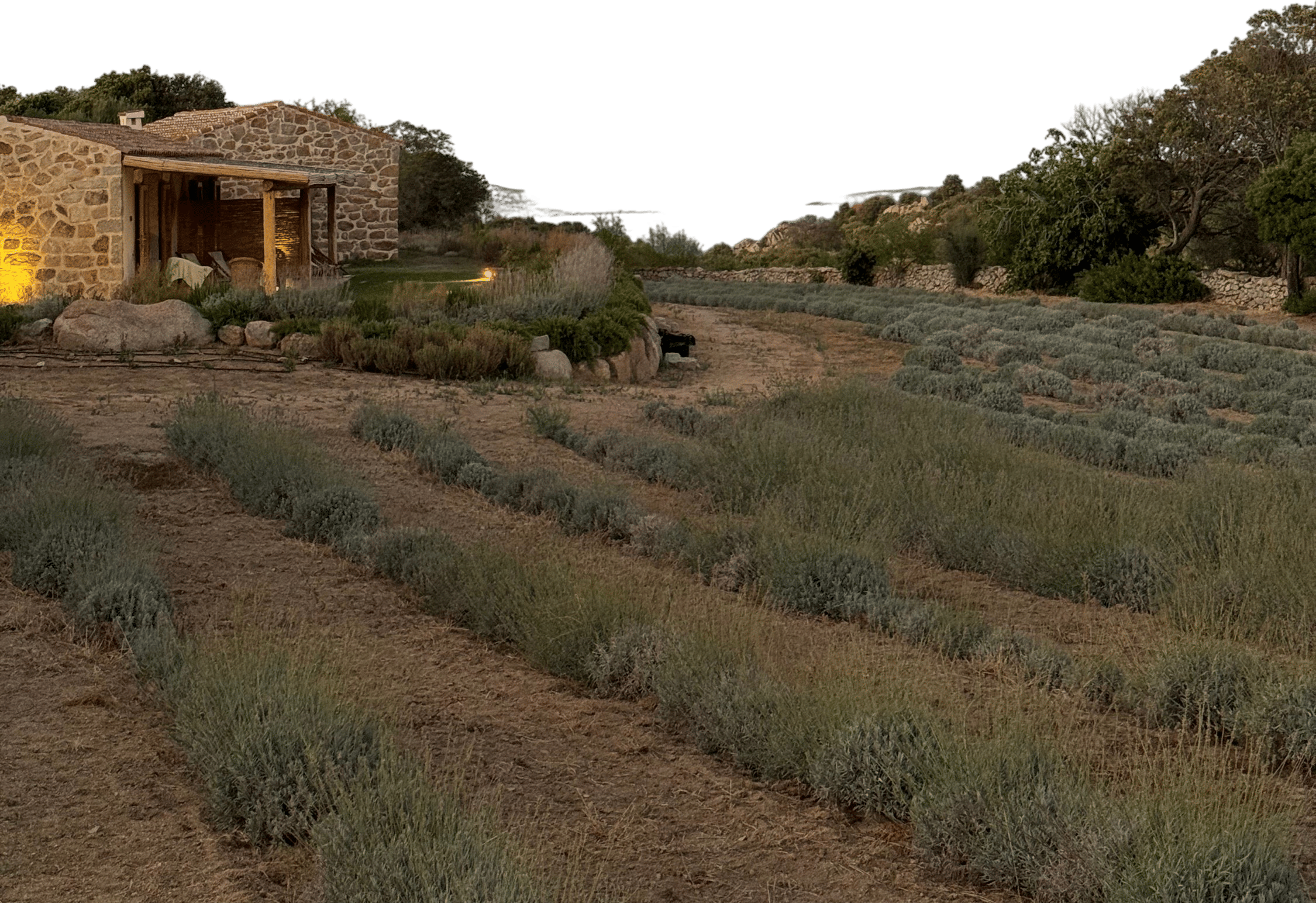 Tenuta Sant'Antonio