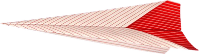 Fold 'N Fly