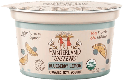 painterland sisters yogurt