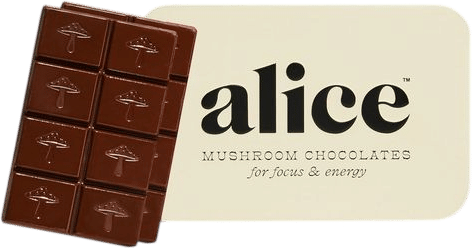 alice’s brainstorm chocolate