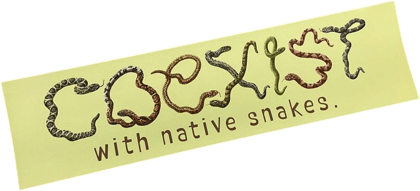 Coexist With Native Snakes Bumper Sticker