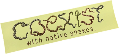 Coexist With Native Snakes Bumper Sticker