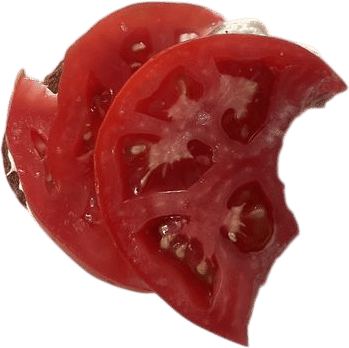 an open face chicken salad sandwich with sliced tomato on top