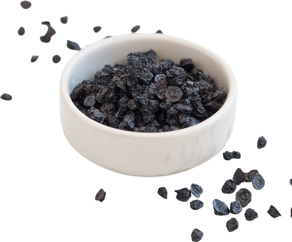 Dried Wild Organic Blueberries