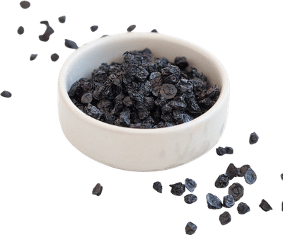 Dried Wild Organic Blueberries