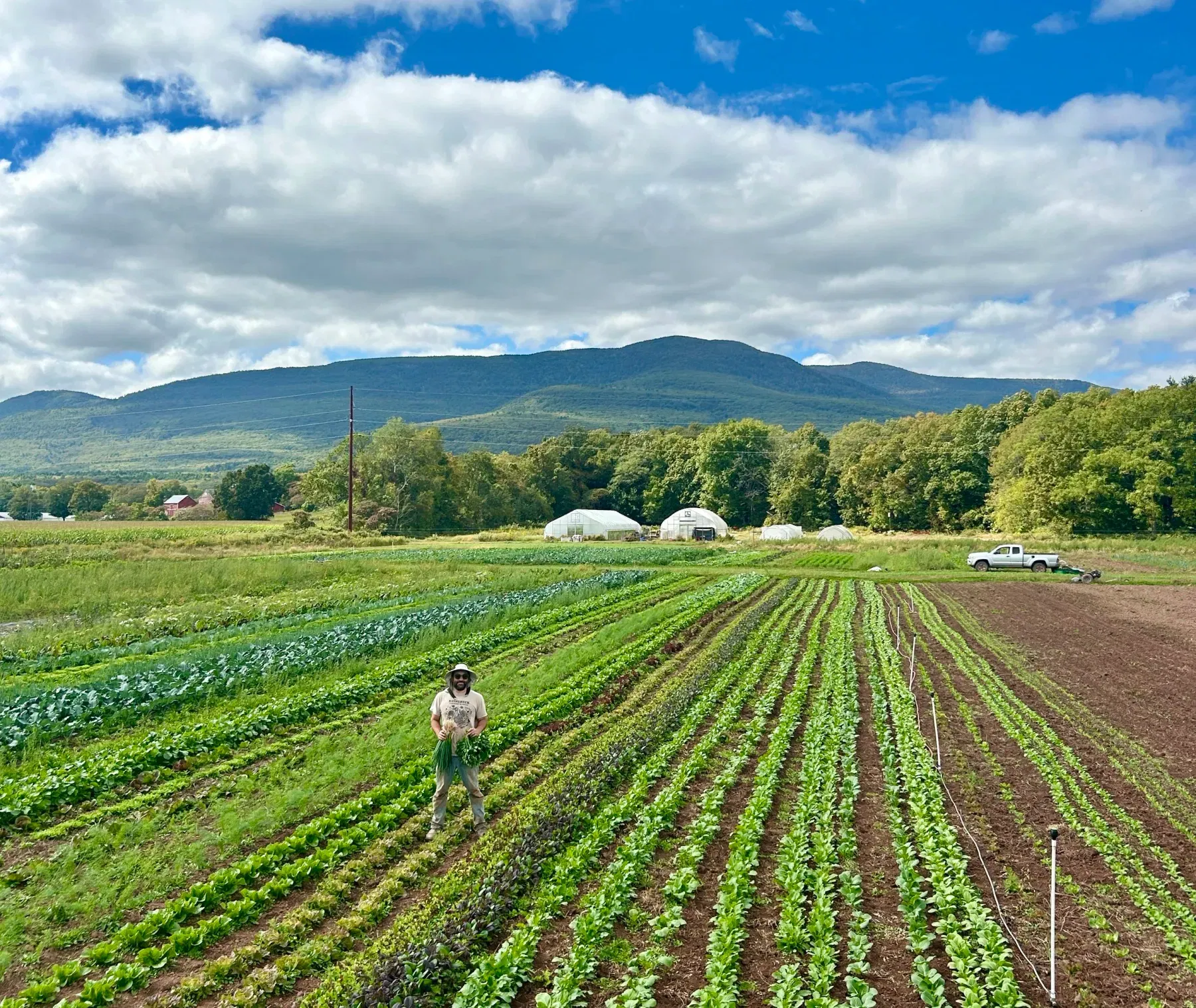 Six Hands Farm Store - Catskill, NY 