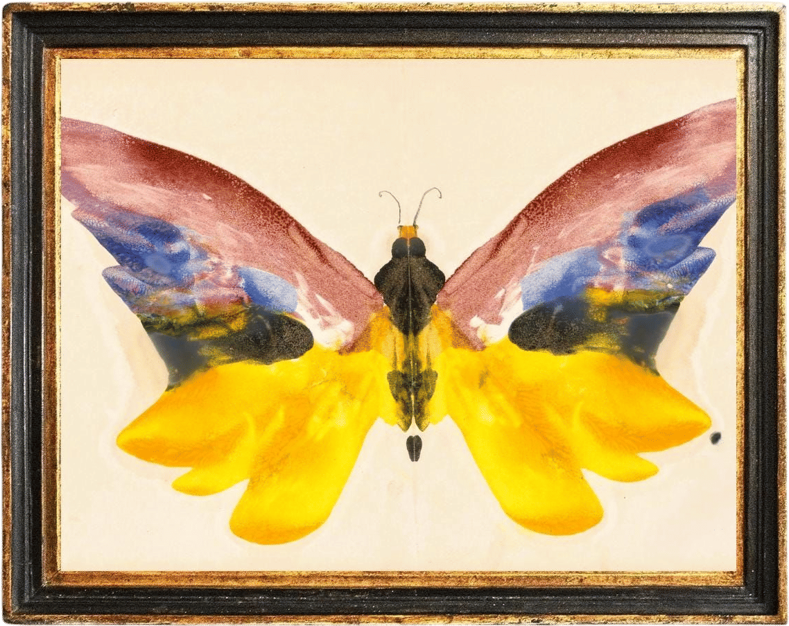 Vintage Butterfly Wall Art 