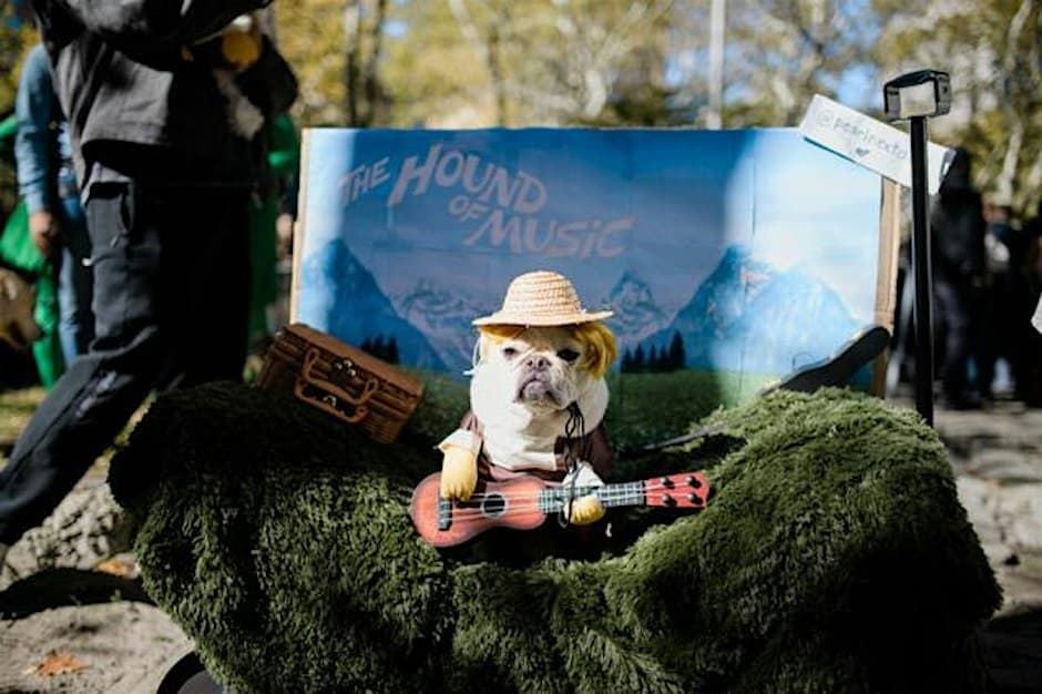 The Great PUPkin Dog Costume Contest