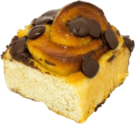 Schnecken