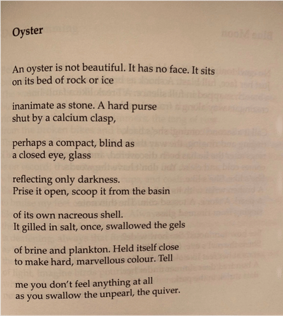 Oyster