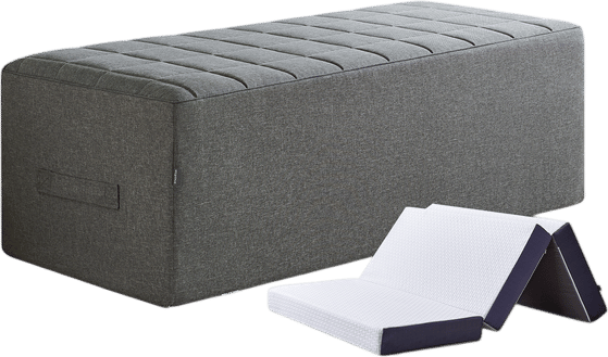 Not a Sofa Bed