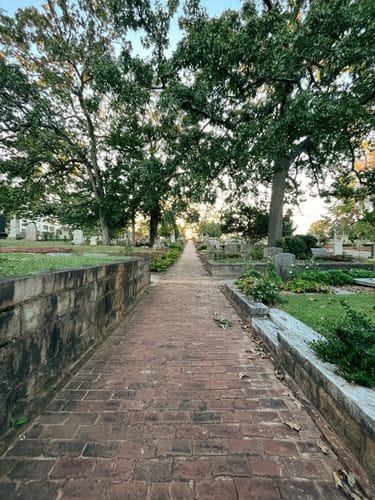 meandering through oakland cemetery