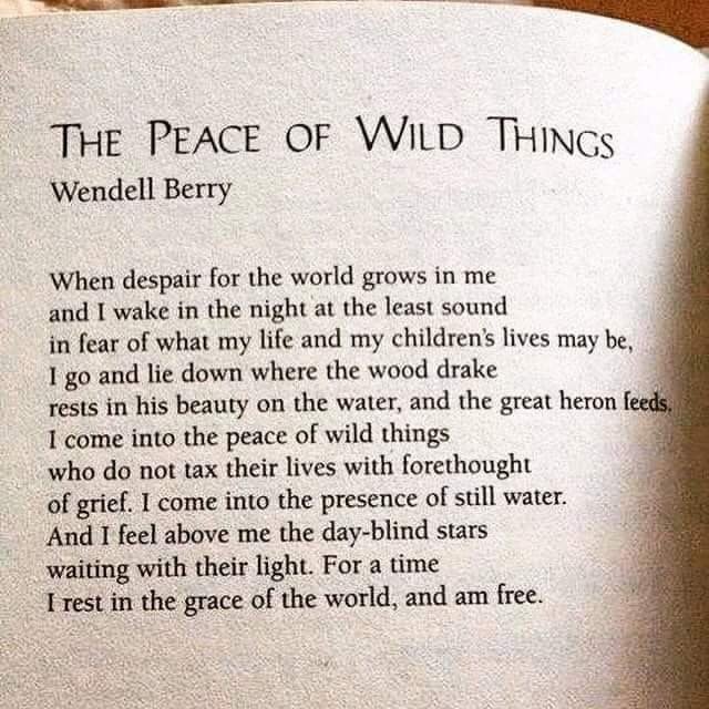 Annie Dillard & Wendell Berry