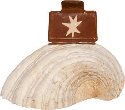 Pia Clip - Western Star