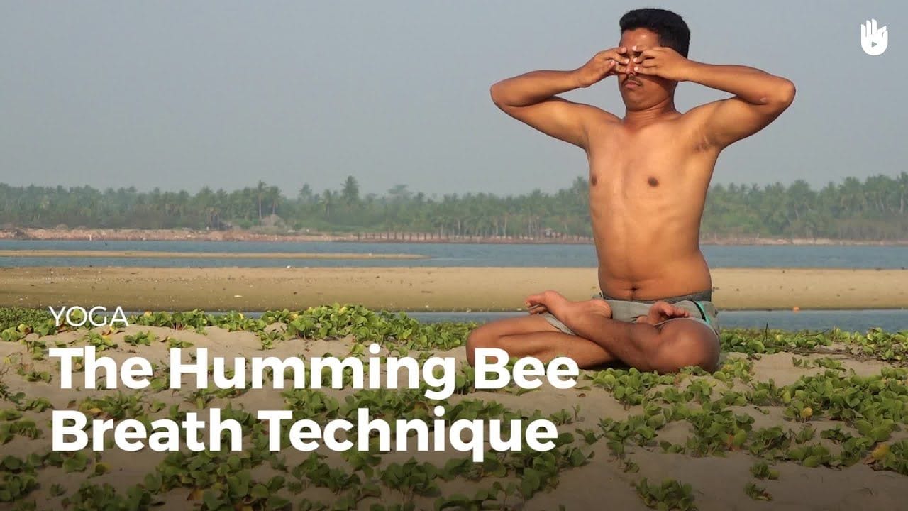 Humming Bee Breath