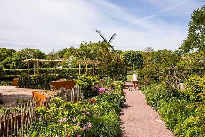 Slottsträdgården