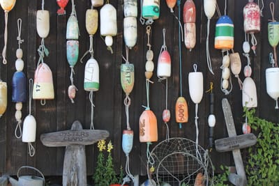 Buck Bay Shellfish Farm