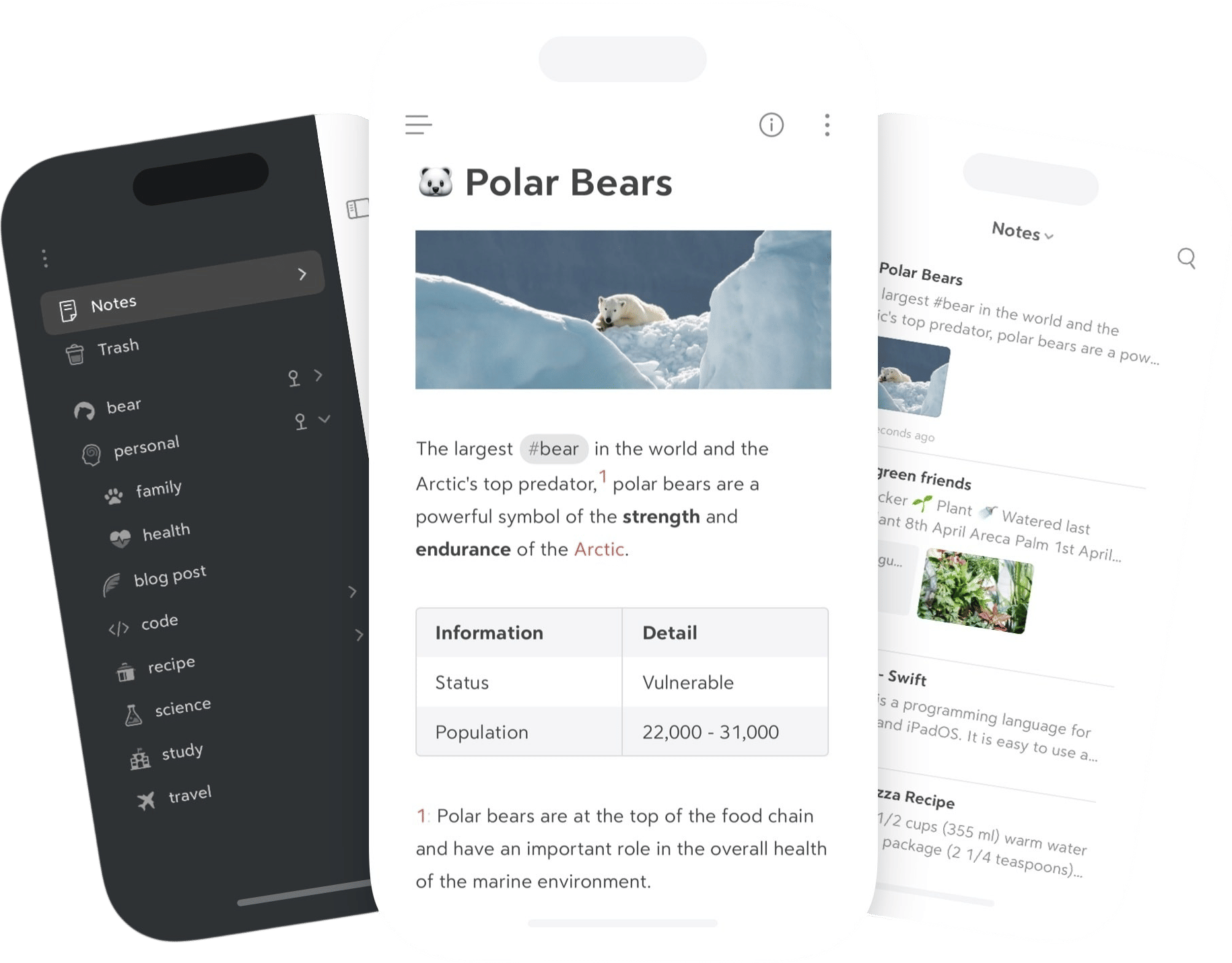 Bear App