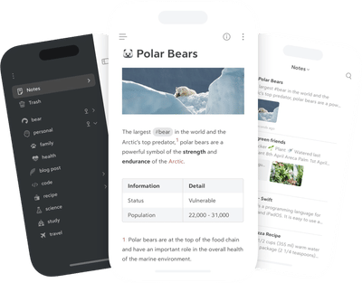 Bear
