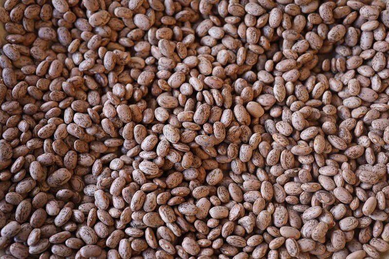 Pinto Beans