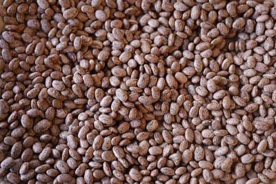 Pinto Beans