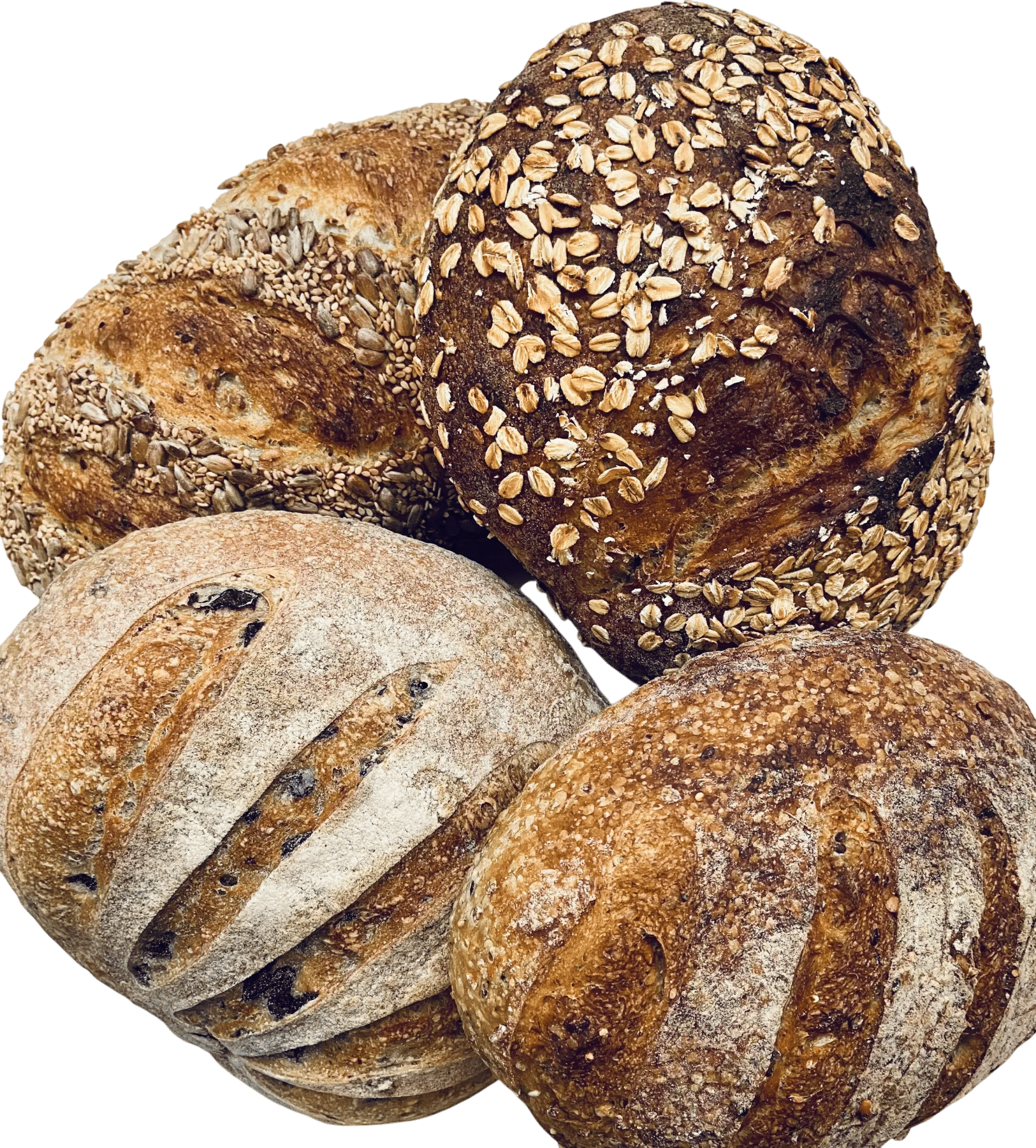 Loaf Bakery in Durham, NC