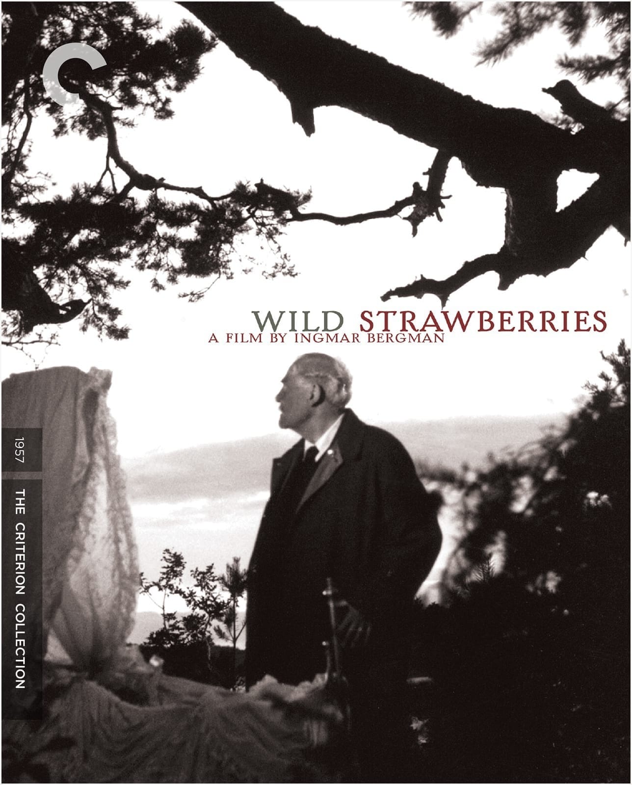 Wild Strawberries (1957)